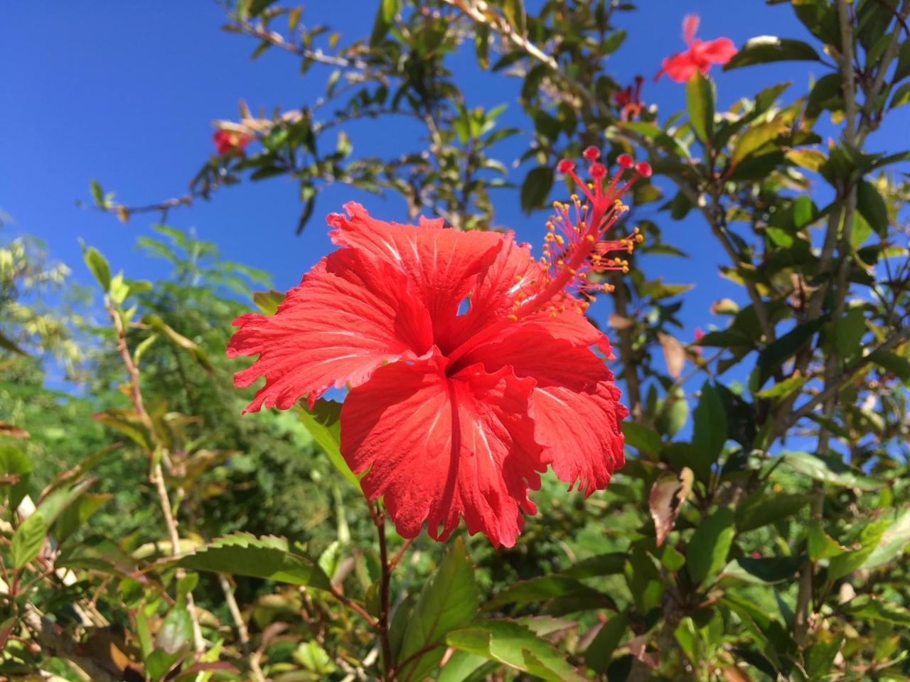 Yoisama Sunrise Beach House Ishigaki  Exteriér fotografie